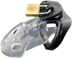Cage De Chasteté Résine La Déesse Transparent