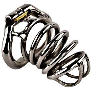 Cage De Chasteté Homme - Acier - The Ring L