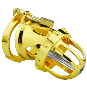 Cage De Chasteté Homme - Métal - Dragon Or