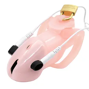 Cage De Chasteté Résine Déesse Électrique Rose