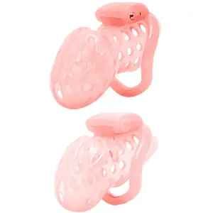 Cage De Chasteté Resine La Punition - Rose