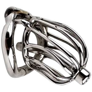 Cage De Chasteté Homme - Métal - The Chrome Ball