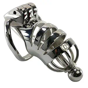 Cage De Chasteté Homme - Métal - Panthère S