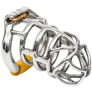 Cage De Chasteté Métal Mente Religieuse L
