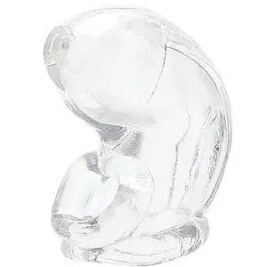 Cage De Chasteté Silicone Délice Transparent