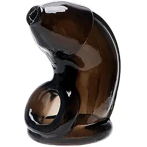 Cage De Chasteté Silicone Délice Noir