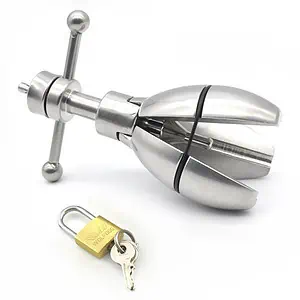 Plug Anal Verrouillable