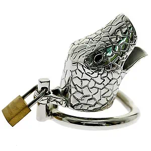 Cage De Chasteté Homme - Serpent Argent